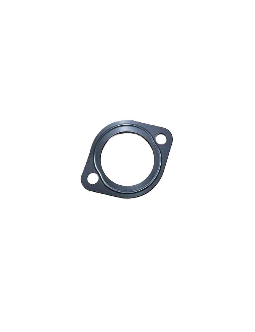 Thermostat gasket
