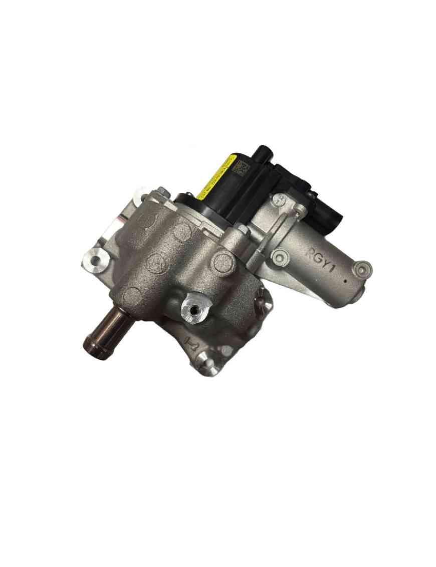 EGR Valve