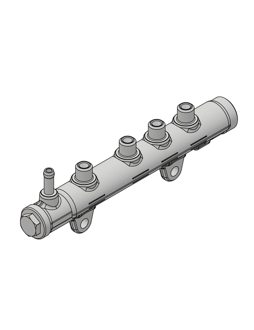 Fuel common rail